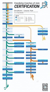 Certification flow chart