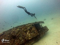 Sabang Wreck, Puerto Galera, Philippines